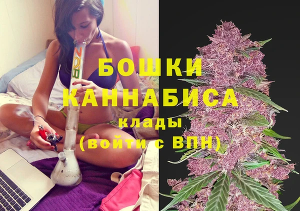 твердый Арсеньев