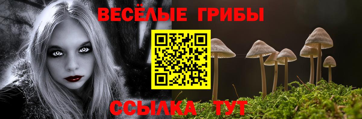 Псилоцибиновые грибы GOLDEN TEACHER Лянтор